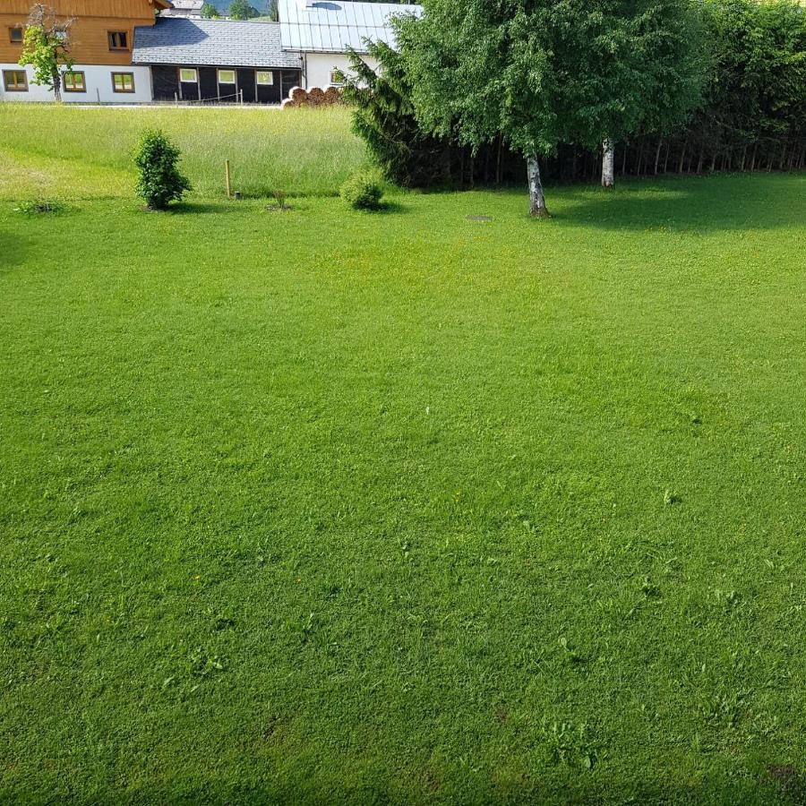 Apartment Dachsteinblick Bad Aussee Dış mekan fotoğraf