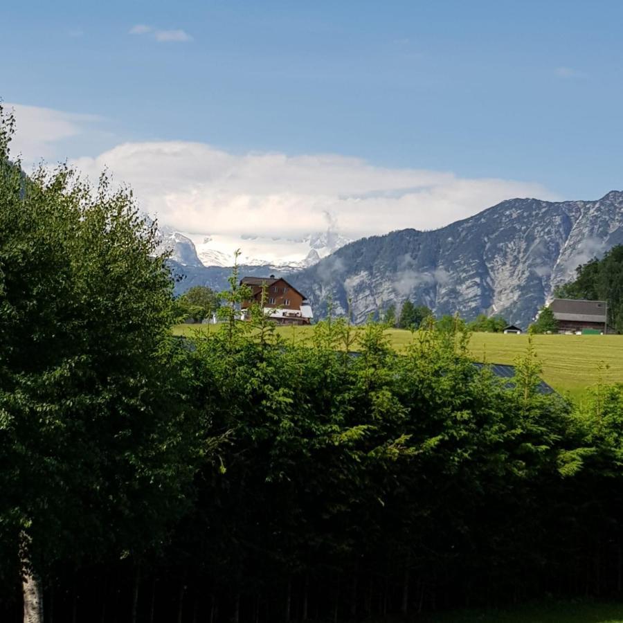 Apartment Dachsteinblick Bad Aussee Dış mekan fotoğraf